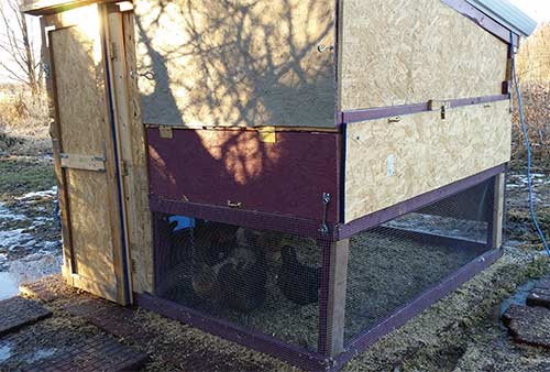 Chicken Coop 2