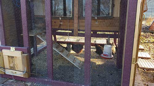 Chicken Coop 3